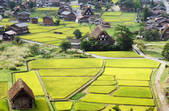 tkf001_557913