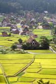 tkf001_557914