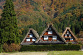 tkf001_557944