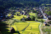 tkf001_557945
