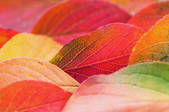 tkf001_560121