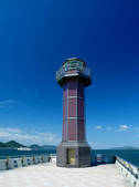 tkf001_561299