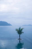 tkf001_602656