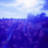 tkf001_645780