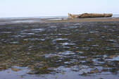 tkf001_646248