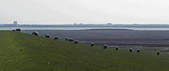 tkf001_648345
