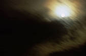 tkf001_648789