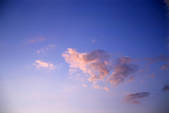tkf001_650260