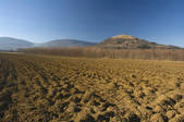 tkf001_650798