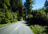 tkf001_653096
