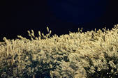 tkf003_100622