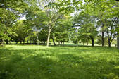 tkf003_104331