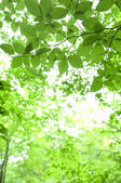 tkf003_104745
