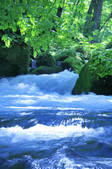 tkf003_106604