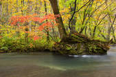 tkf003_106742