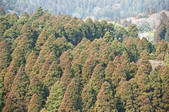 tkf003_107551