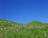 tkf003_107913