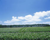 tkf003_110747
