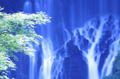 tkf003_111546