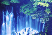 tkf003_112103