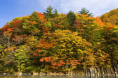 tkf003_113555