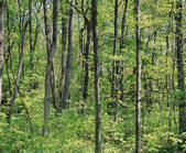 tkf003_114066