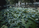 tkf003_118862