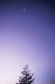 tkf003_120059