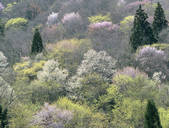 tkf003_120205