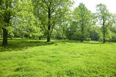 tkf003_120691