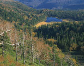 tkf003_122877