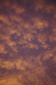 tkf003_123751