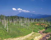 tkf003_124770