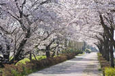tkf003_125457