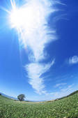 tkf003_125755