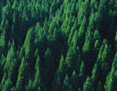 tkf003_126854
