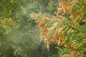 tkf003_127683