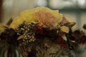 tkf003_128083