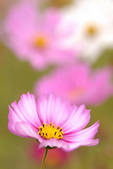 tkf003_128764
