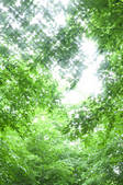 tkf003_129171