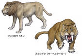 tkf003_129202