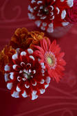 tkf003_130200