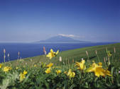 tkf003_130453