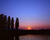 tkf003_131158