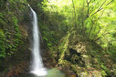 tkf003_131873