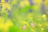 tkf003_132060