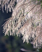 tkf003_132444