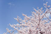 tkf003_132461