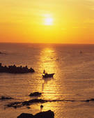 tkf003_133082
