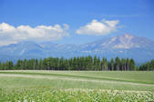 tkf003_135431